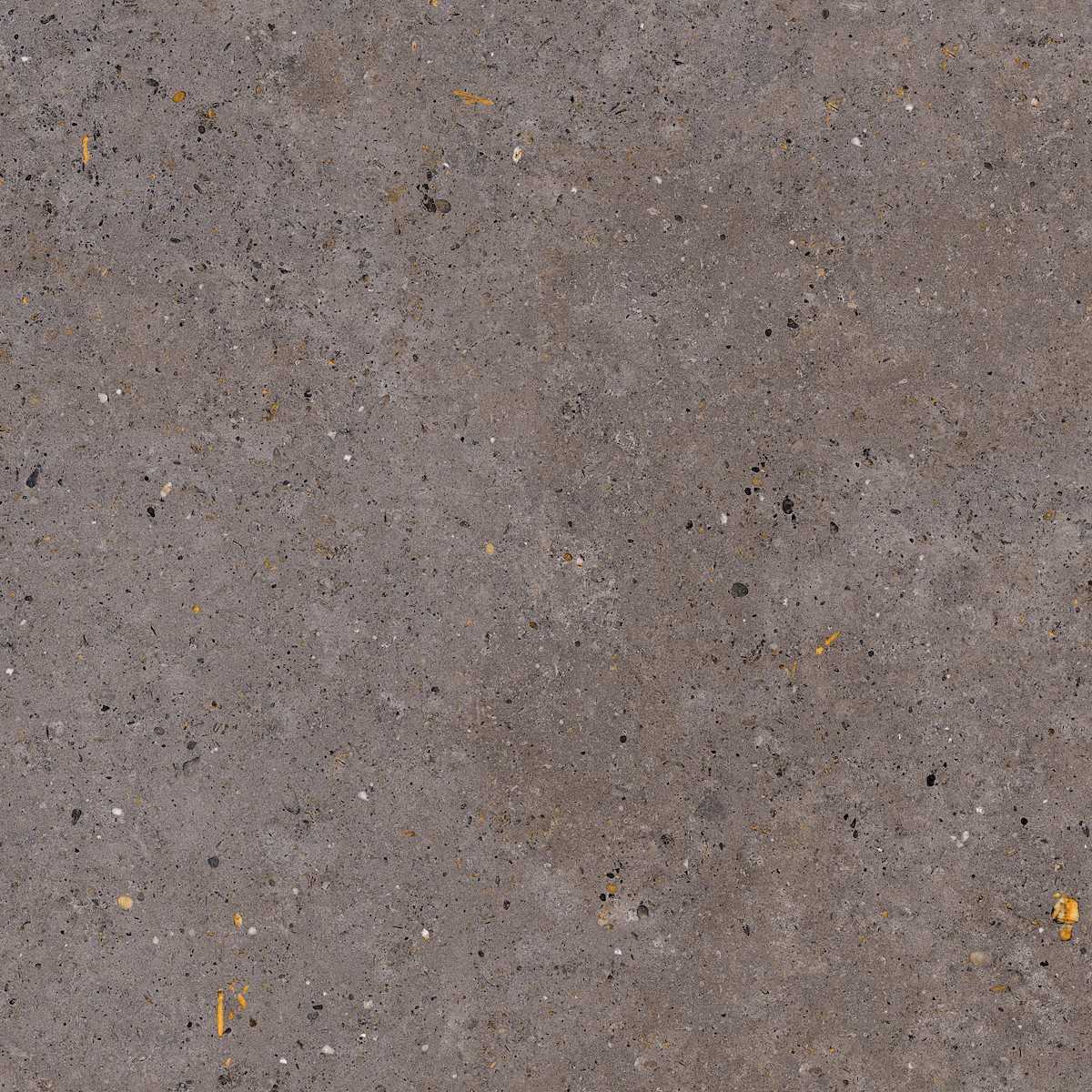 Dlažba Pastorelli Biophilic dark grey 120x120 cm mat P009412 Pastorelli