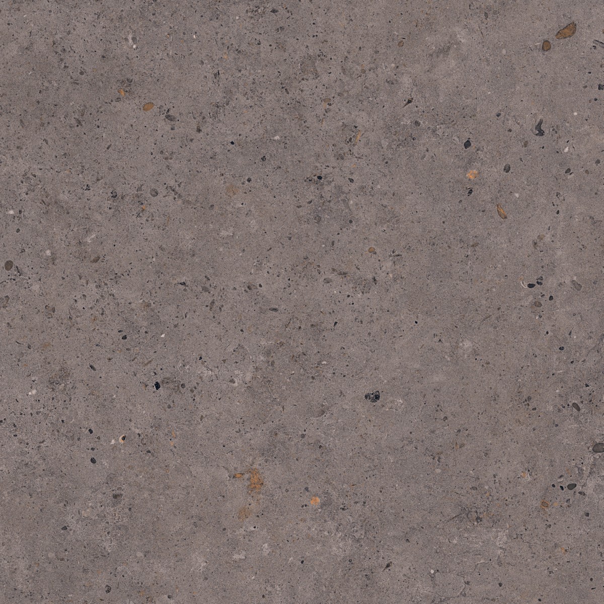 Dlažba Pastorelli Biophilic dark grey 80x80 cm mat P009420 Pastorelli