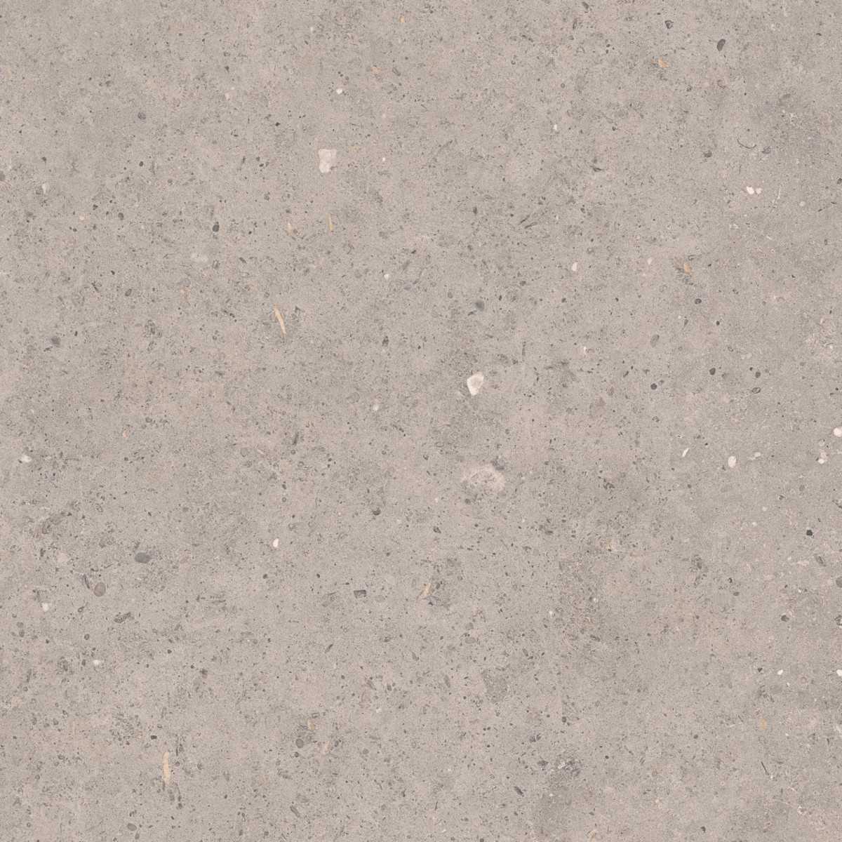 Dlažba Pastorelli Biophilic grey 80x80 cm mat P009419 Pastorelli