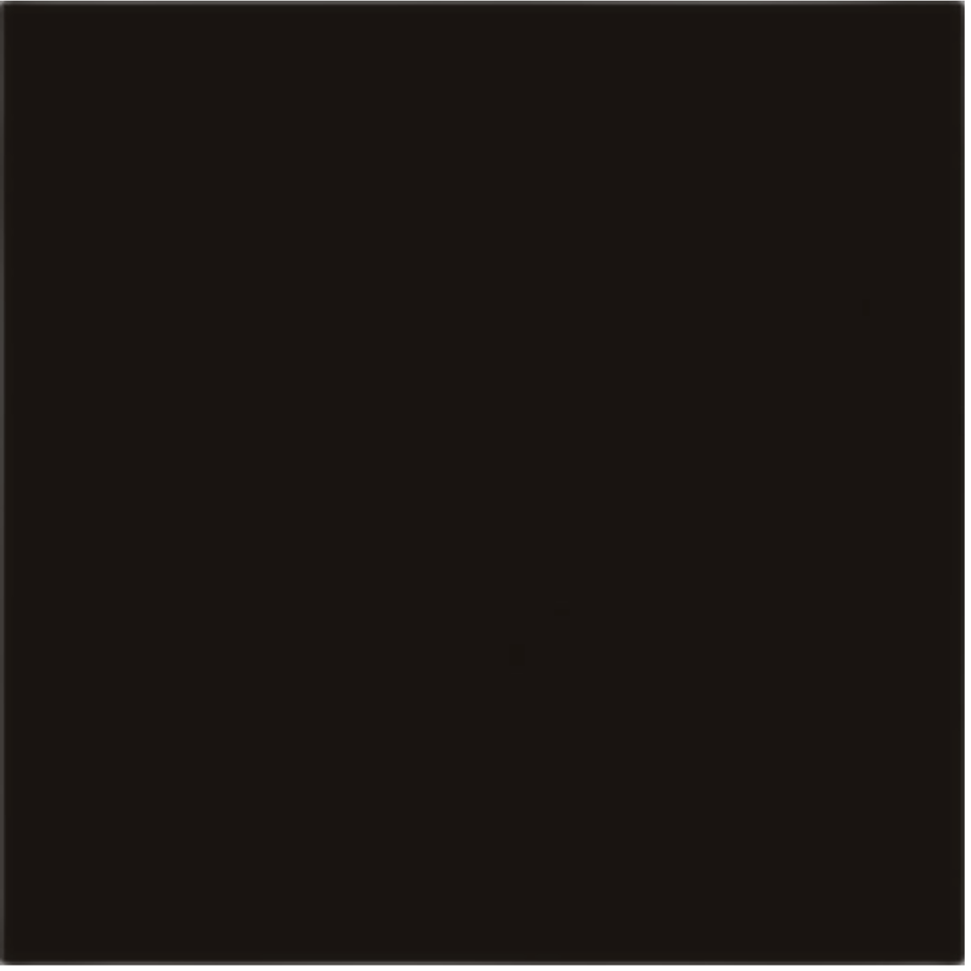 Dlažba Rako Color Two černá 20x20 cm mat GAA1K048.1 Rako