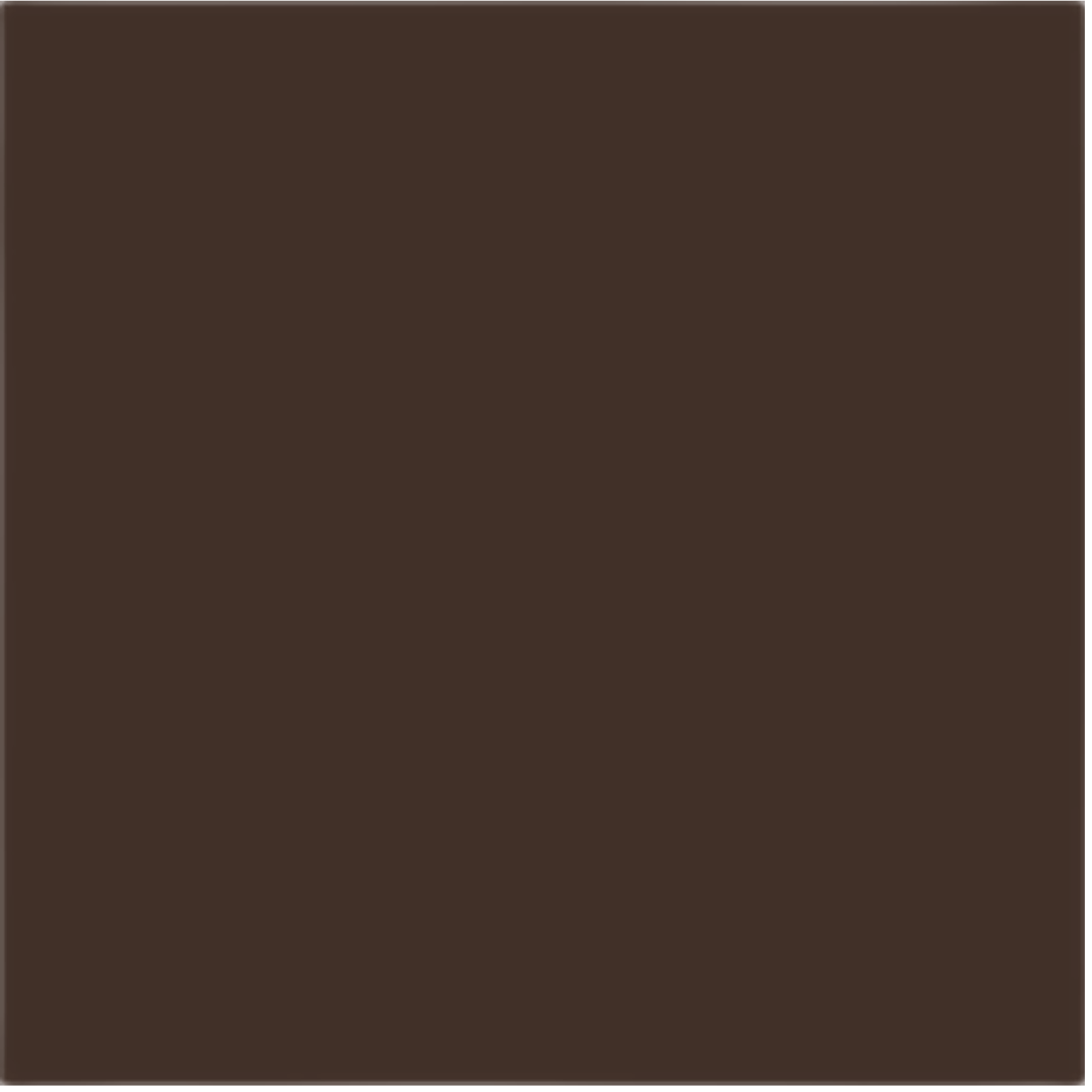 Obklad Rako Color One tmavě hnědá 20x20 cm mat WAA1N681.1 Rako