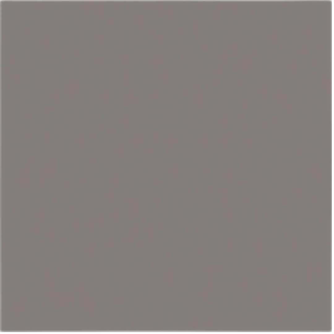 Dlažba Rako Taurus Color light grey 20x20 cm mat TAA26006.1 Rako