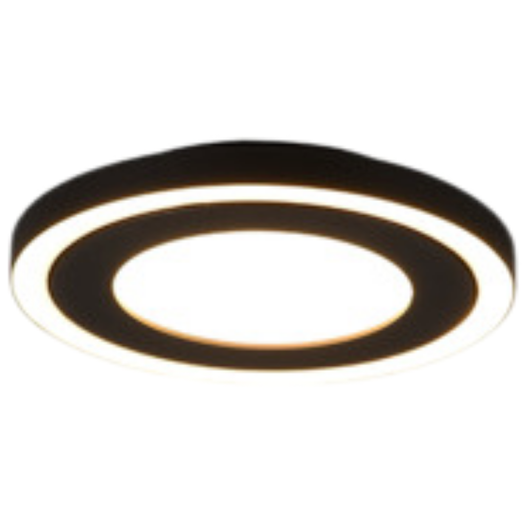 Reality Carus led stropní osvětlení černá r67222032 RER67222032 Reality
