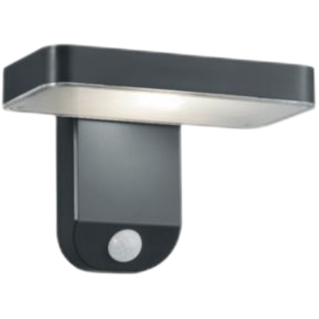 Reality Esquel led nástěnná lampa antracit r22261142 RER22261142 Reality