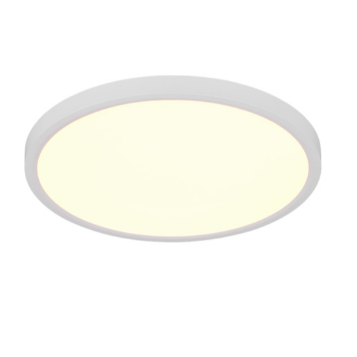 Reality Draco stropní světlo bílá r65891931 RER65891931 Reality