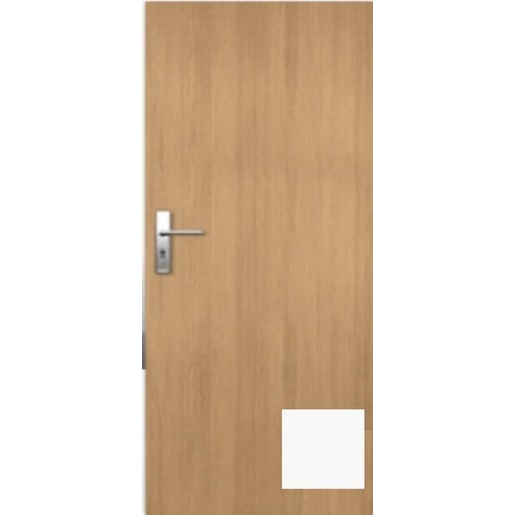 Vchodové dveře Naturel Entry pravé 90 cm bílá matná ENTRYBM90P Naturel