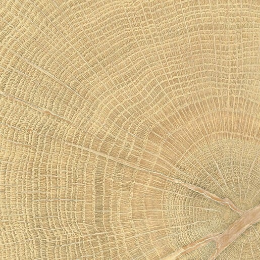 Dlažba Emil W-Circles oak 10x10 cm mat 00ENJD68 Emil