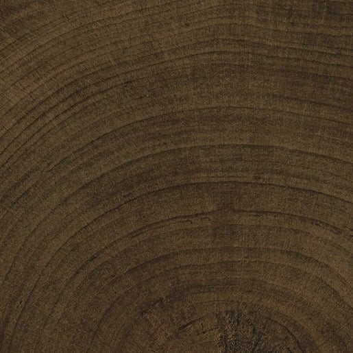 Dlažba Emil W-Circles wenge 10x10 cm mat 00ENJF68 Emil